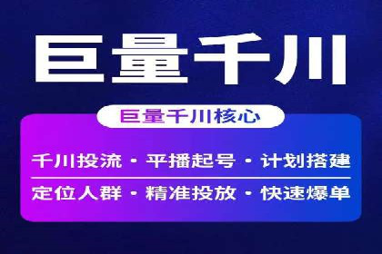 百度竞价广告投放全解析：成功案例揭秘